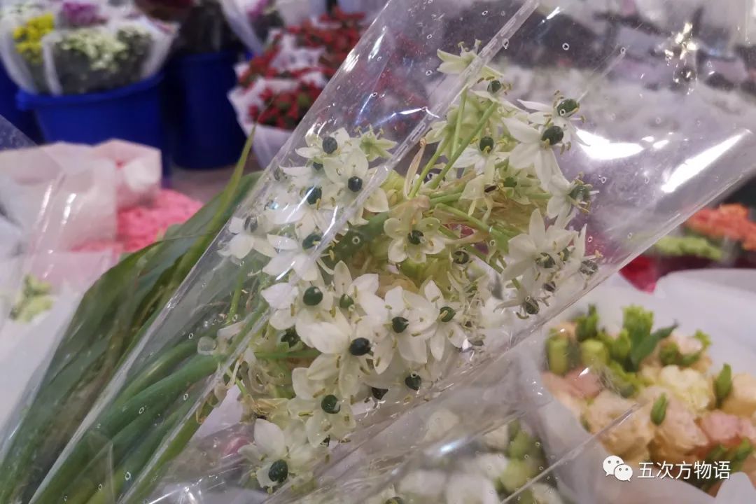 鲜切花都有哪些品牌,花卉市场买的月季不知道品种