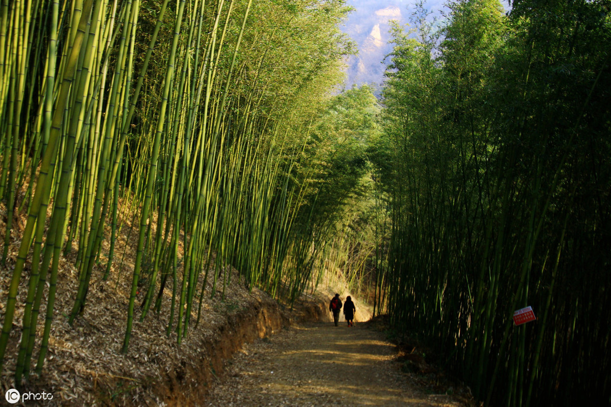 西安秦岭夏季避暑度假的地方,西安避暑首选景点是什么