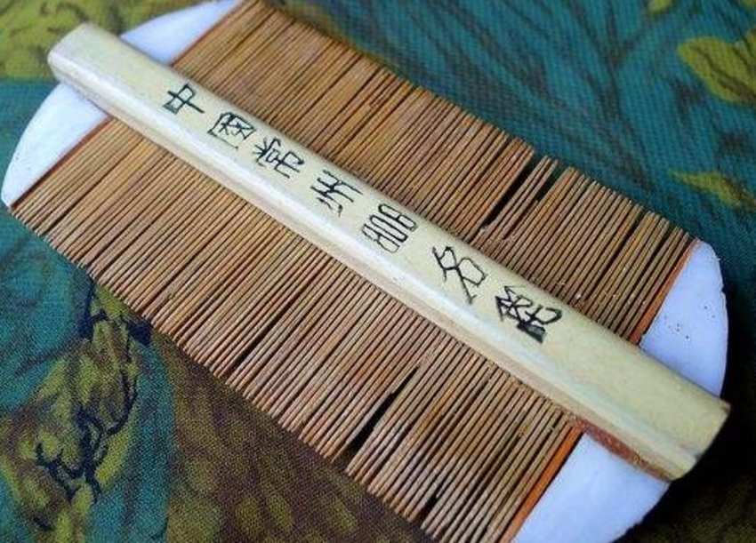 30年前人身上长虱子,为什么以前人长虱子现在没有虱子