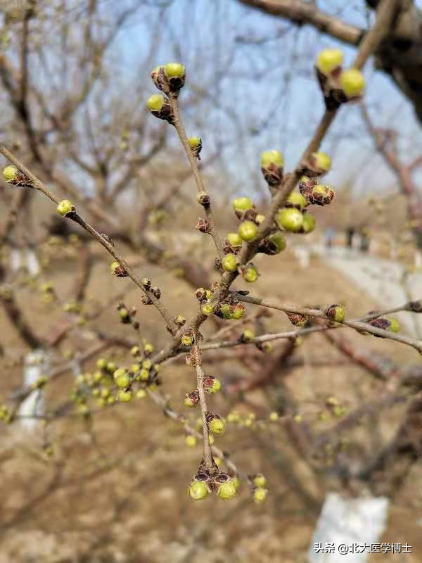 春季换季全身痒有什么办法,春天换季两腿瘙痒怎么处理