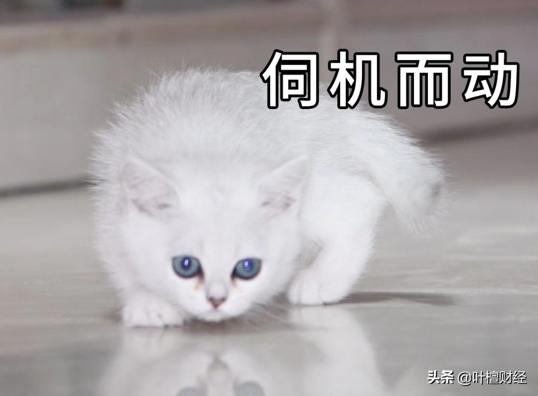 定投指数基金的技巧与方法,目前定投选择什么指数基金好