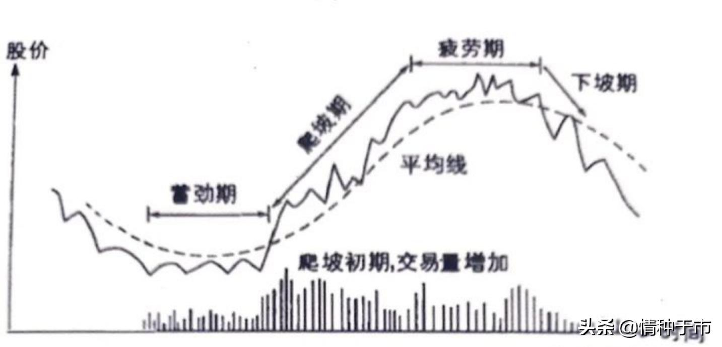 炒股的智慧有几个版本,每天必学的炒股知识
