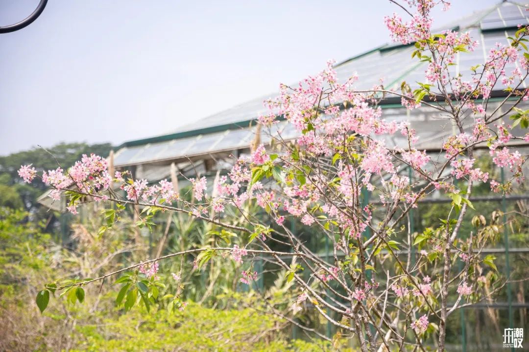 300+万㎡原始森林秘境，天河就有