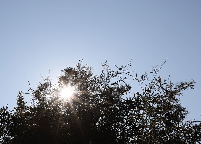 摄影圈名字大全,摄影圈的专业术语