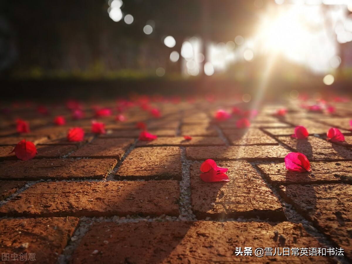 有什么东西是不能退货的,有些东西是不能还价的