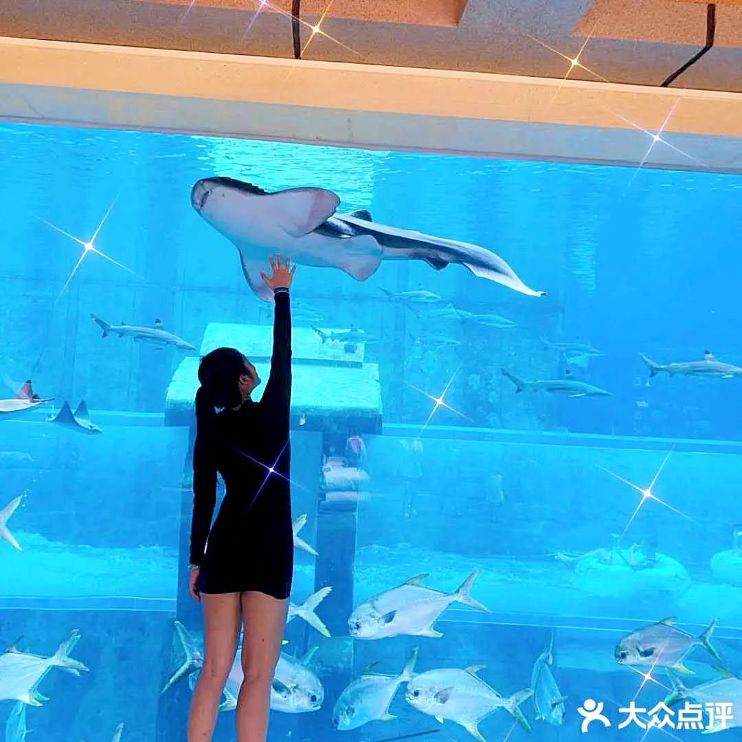 成都250000平方米的人造海滩约吗？杨洋已经帮你体验过了