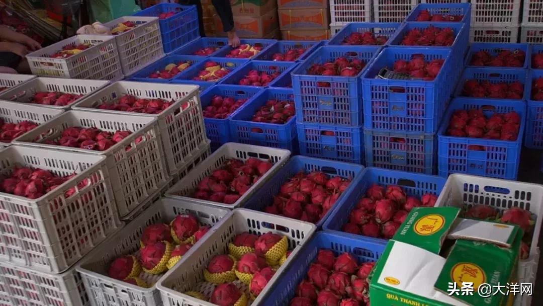 广州市水果市场热闹吗,广州市场有什么水果