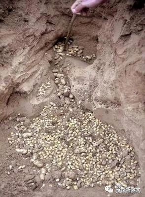 因为一瓶啤酒,在继母的老家,六年来我第一次对继母喊“妈”