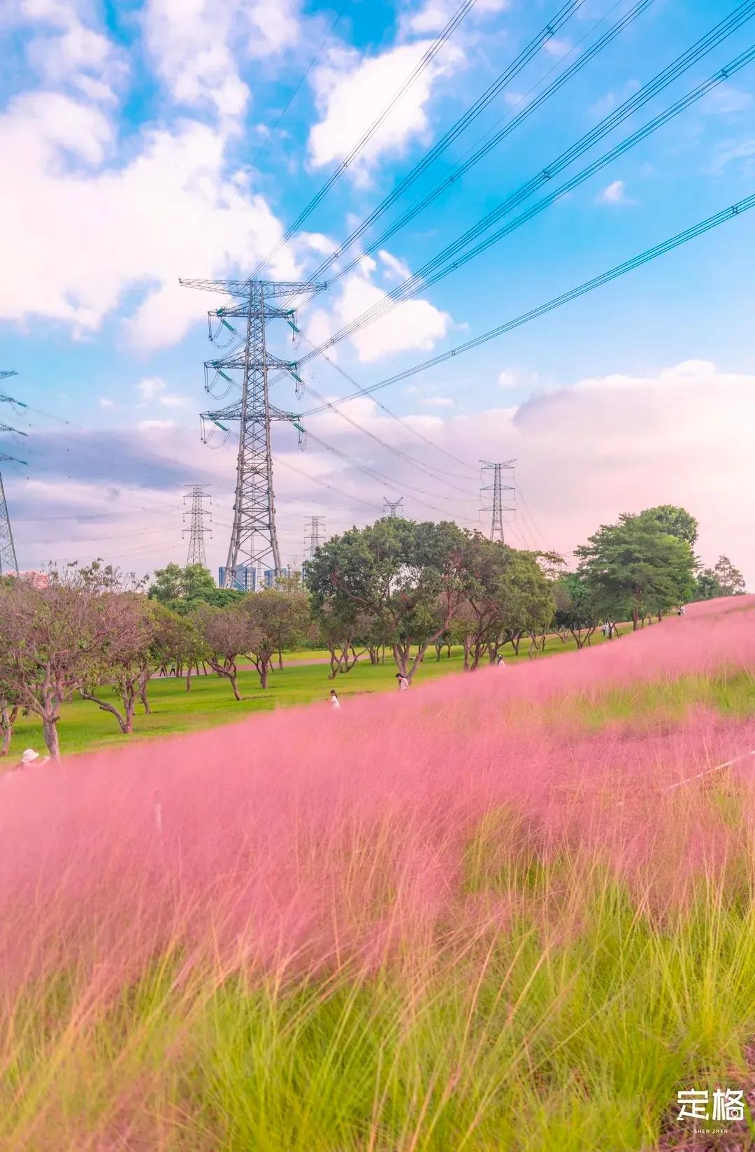 深圳周末打卡地点排行榜,深圳秋季打卡攻略