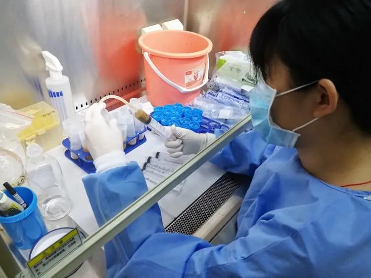 粪便也是救命粮,粪便真的能入药吗