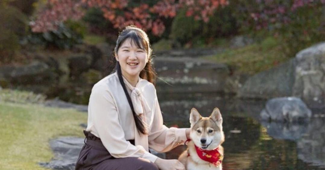 日本平民王妃纪子妃,日本纪子妃生孩子了吗