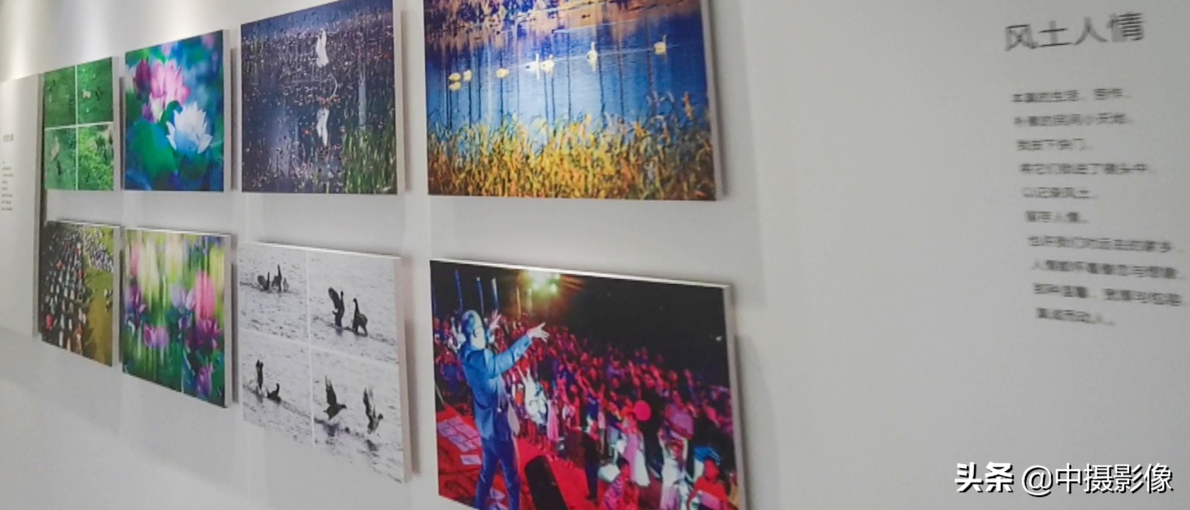 观日照白鹭湾小镇，看湾里人的生活与艺术，是怎样一首田园诗