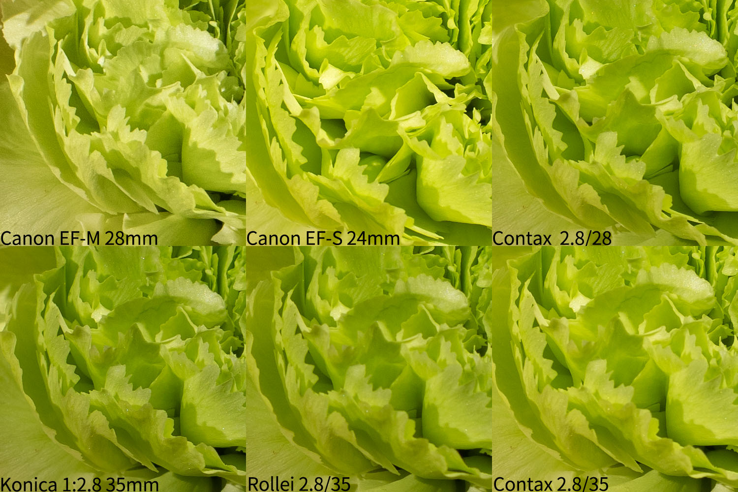 佳能新百微是最好的微距镜头吗,佳能百微最新镜头有哪些型号