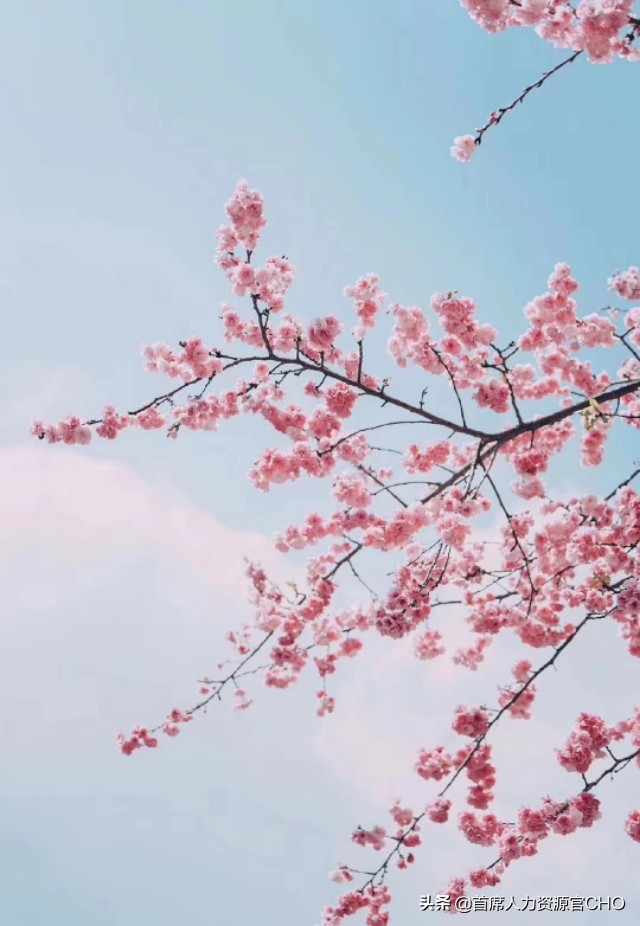 公司不给陪产假怎么办？