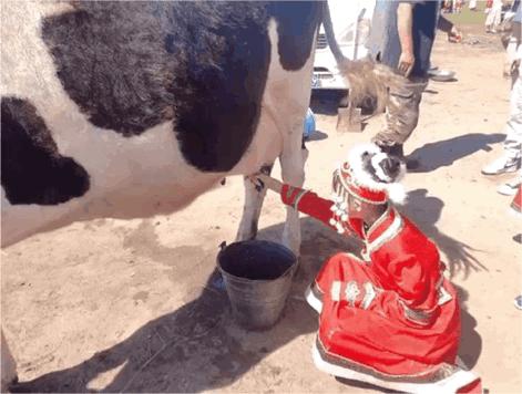 暑假内蒙古旅游攻略亲子,暑假亲子游玩内蒙古5天4夜