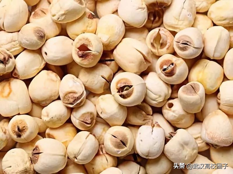 鄂州属于一个宜居的城市吗,鄂州是不是武汉的一个城市