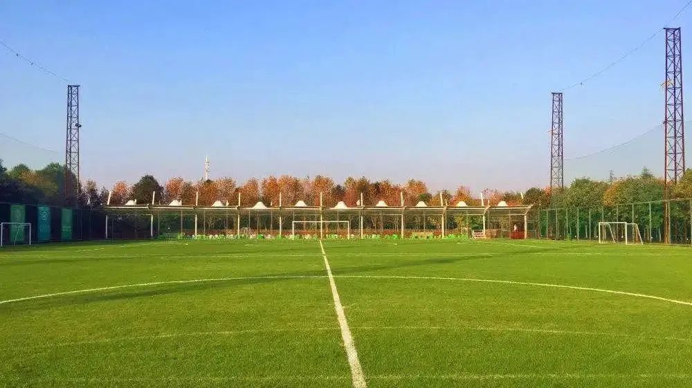 奥运冠军家乡合集,奥运会冠军家乡观看比赛