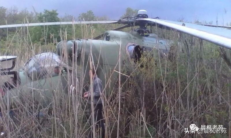 米24，狰狞的母鹿（下）