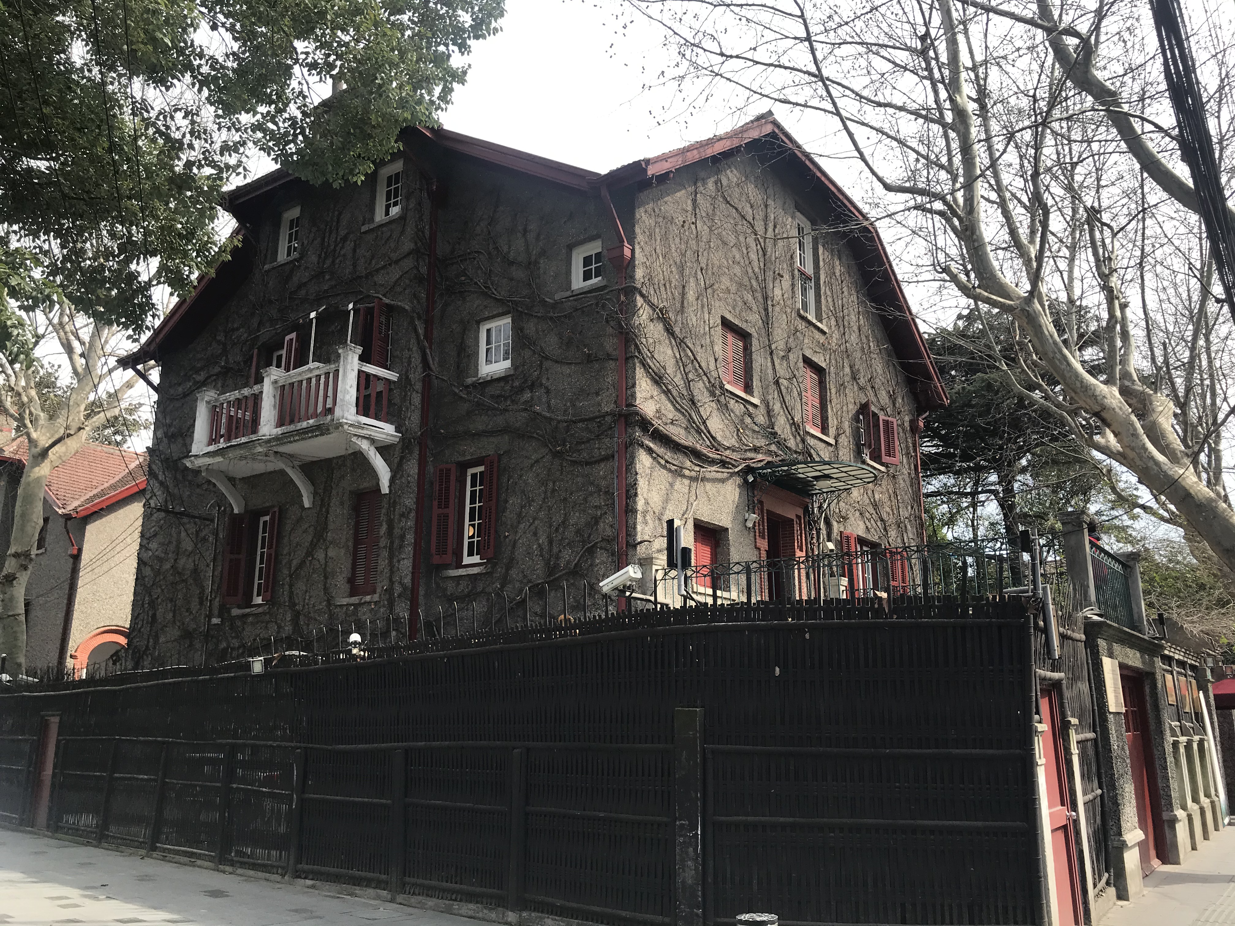 上海的春天视频,上海的春天美景