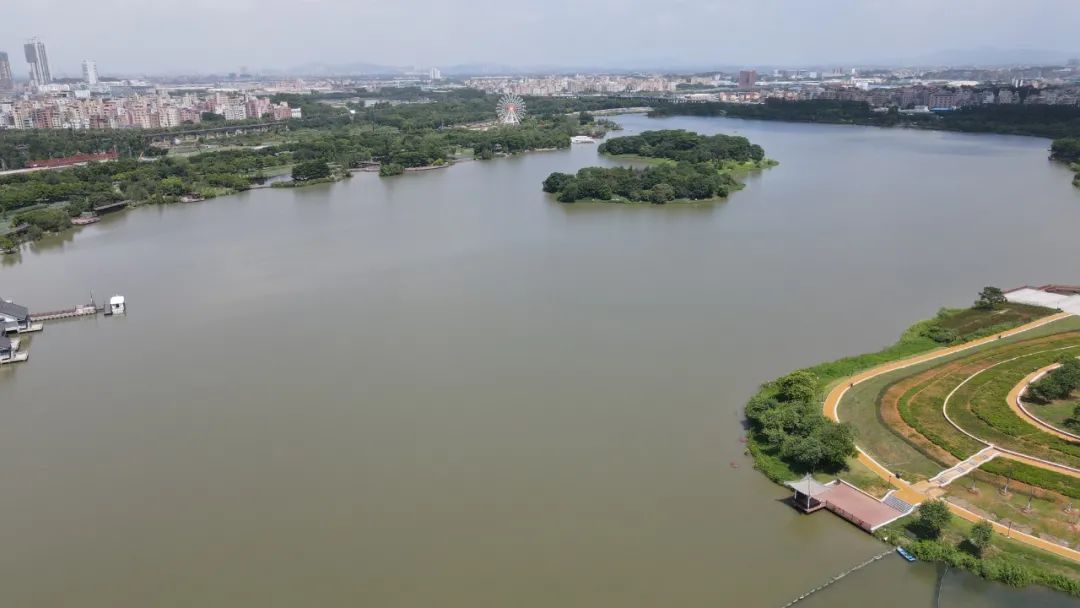 云湖壹号是不是最好的,云湖壹号