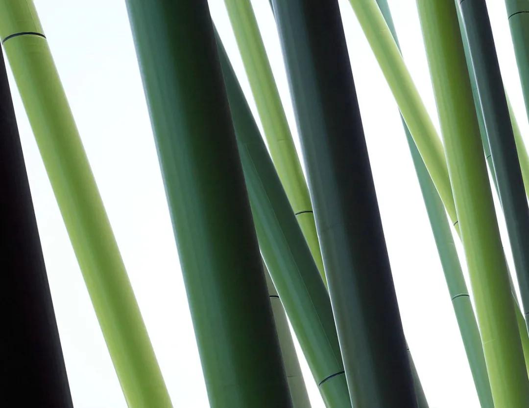 孙一民建筑大师,孙一民建筑