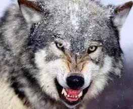 怎么样微笑才能又好看又自然,微笑攻略