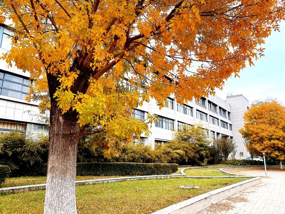 天津市普通高等院校,天津师范高等专科学校