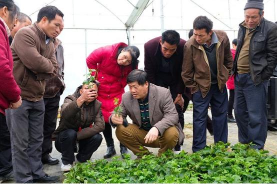 利润很吓人的农村冷门创业项目,利润很吓人10个冷门农村创业项目