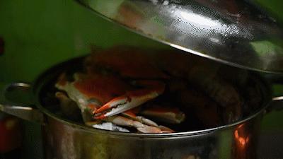 秦皇岛海浪花天桥海鲜批发市场,秦皇岛海浪花批发市场在哪