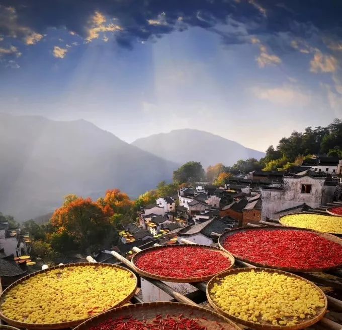 婺源旅游全攻略自由行,婺源旅游攻略一日游自由行