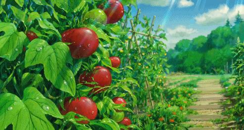 宫崎骏动画有哪些,宫崎骏动画作品