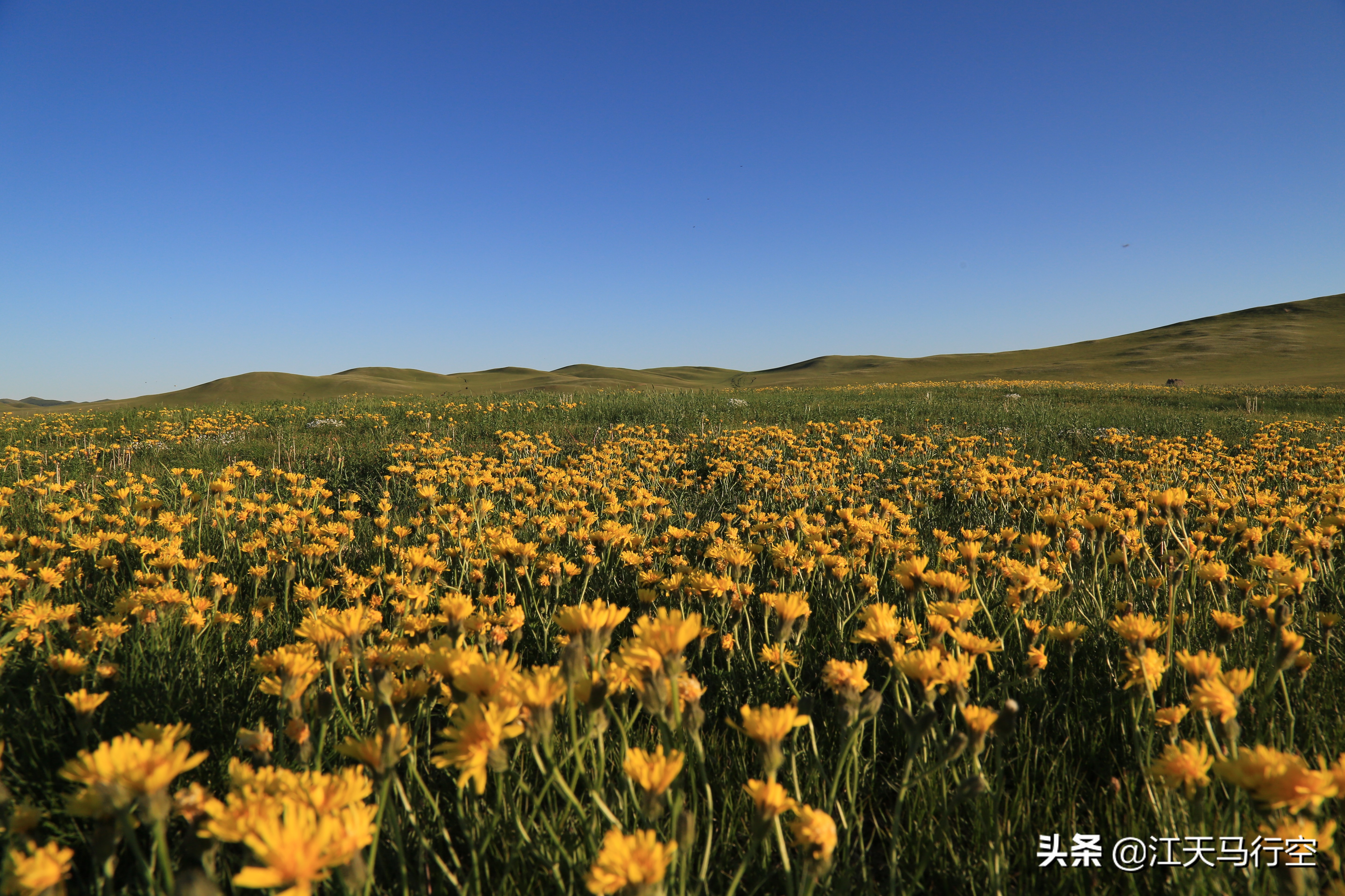 内蒙古草原与国家公园,内蒙古的草原自然公园