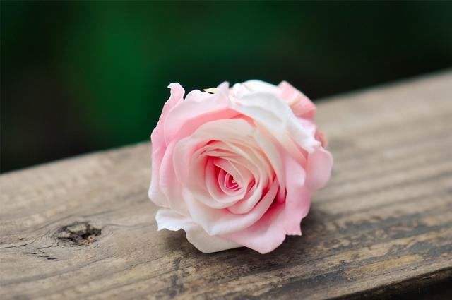 怎么平稳度过爱情的冷淡期,该如何走出爱情迷茫期