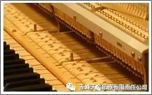 天音乐器靠谱吗,天音二手乐器河东区