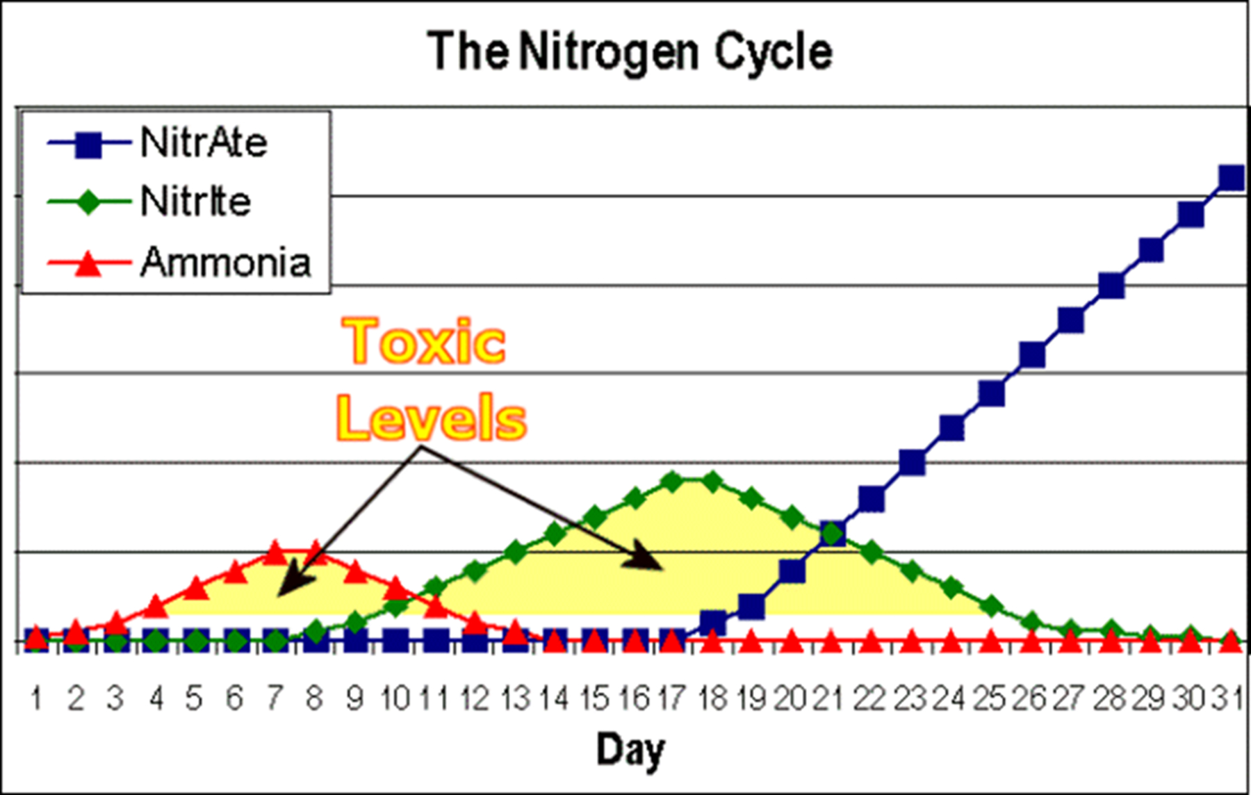 养水硝化系统多久能自己建立,不养鱼之前如何建立硝化系统