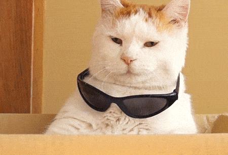 雅思老师去考雅思是一种什么体验,雅思主考官教你学雅思