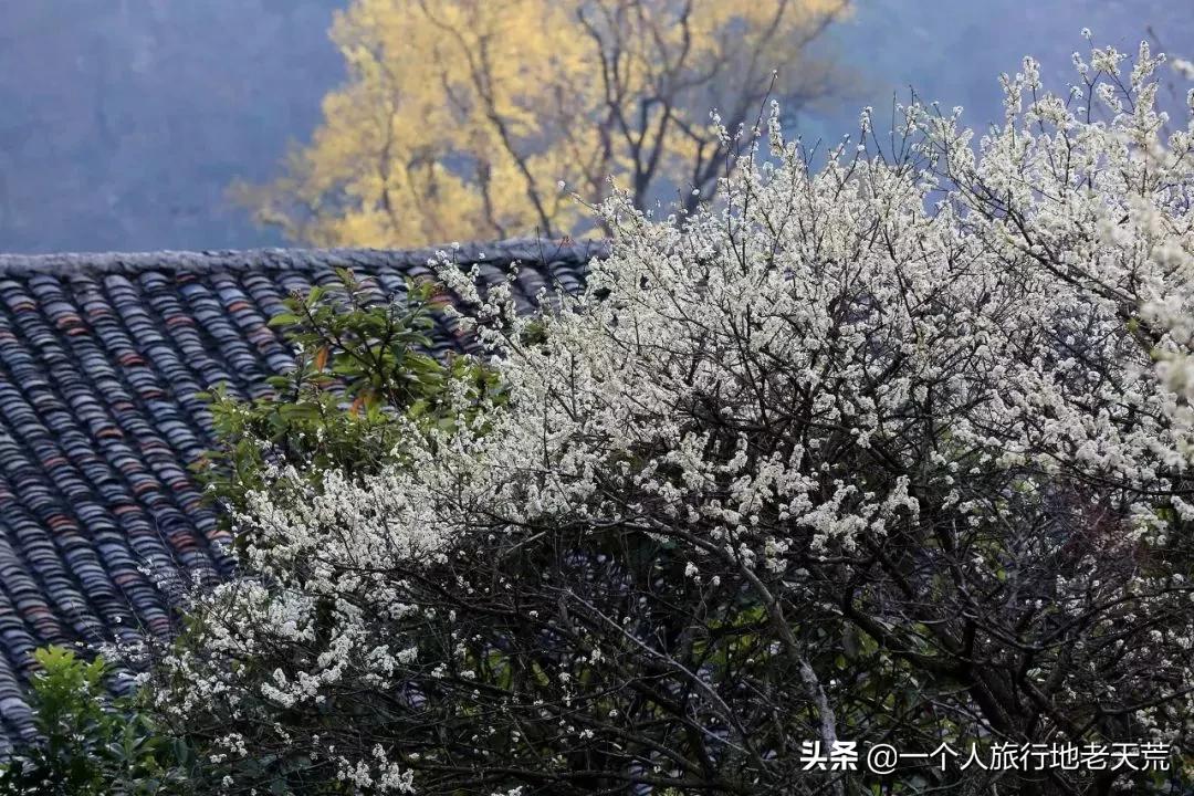 广西哪些城市是靠一碗粉火起来的,凭一碗螺蛳粉征服世界