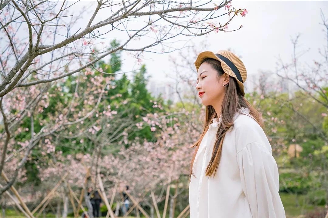 深圳周末带孩子免费游玩好去处,2021深圳免费适合遛娃玩地方排名