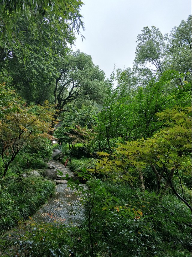 杭州西湖景点郭庄视频,杭州郭庄园林