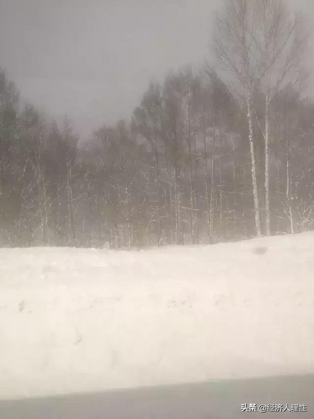 日本一个岛国为什么经济这么强,日本一个岛国为什么如此强