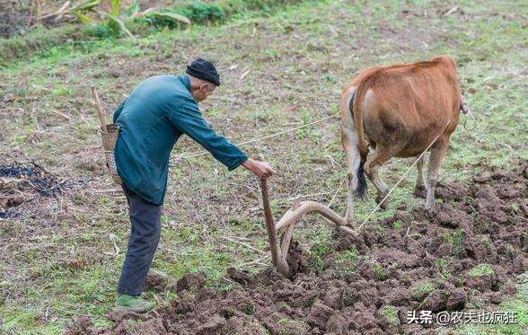 会生在八月死在腊月是什么意思,会生在八月死在腊月什么意思