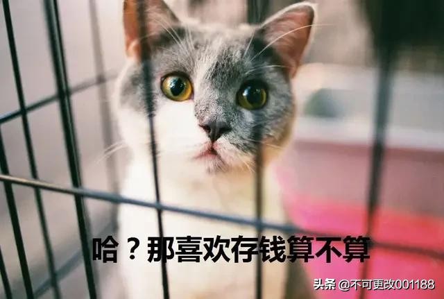 松鼠病了,有一种病叫松鼠症