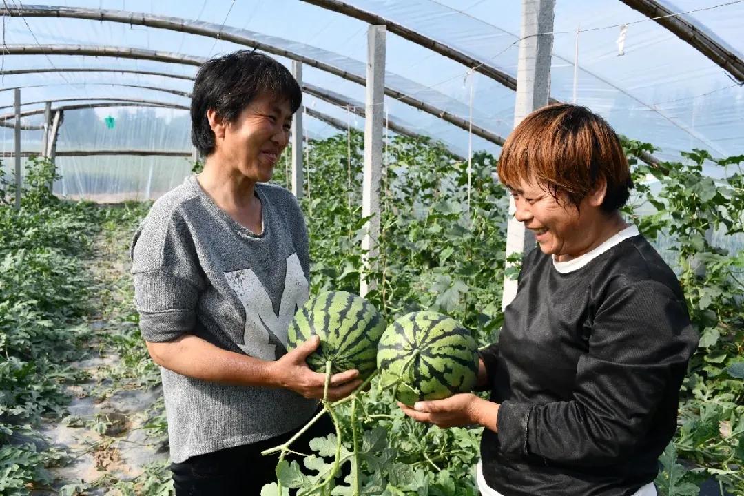 一村一品打造乡村产业,一村一品亿元村