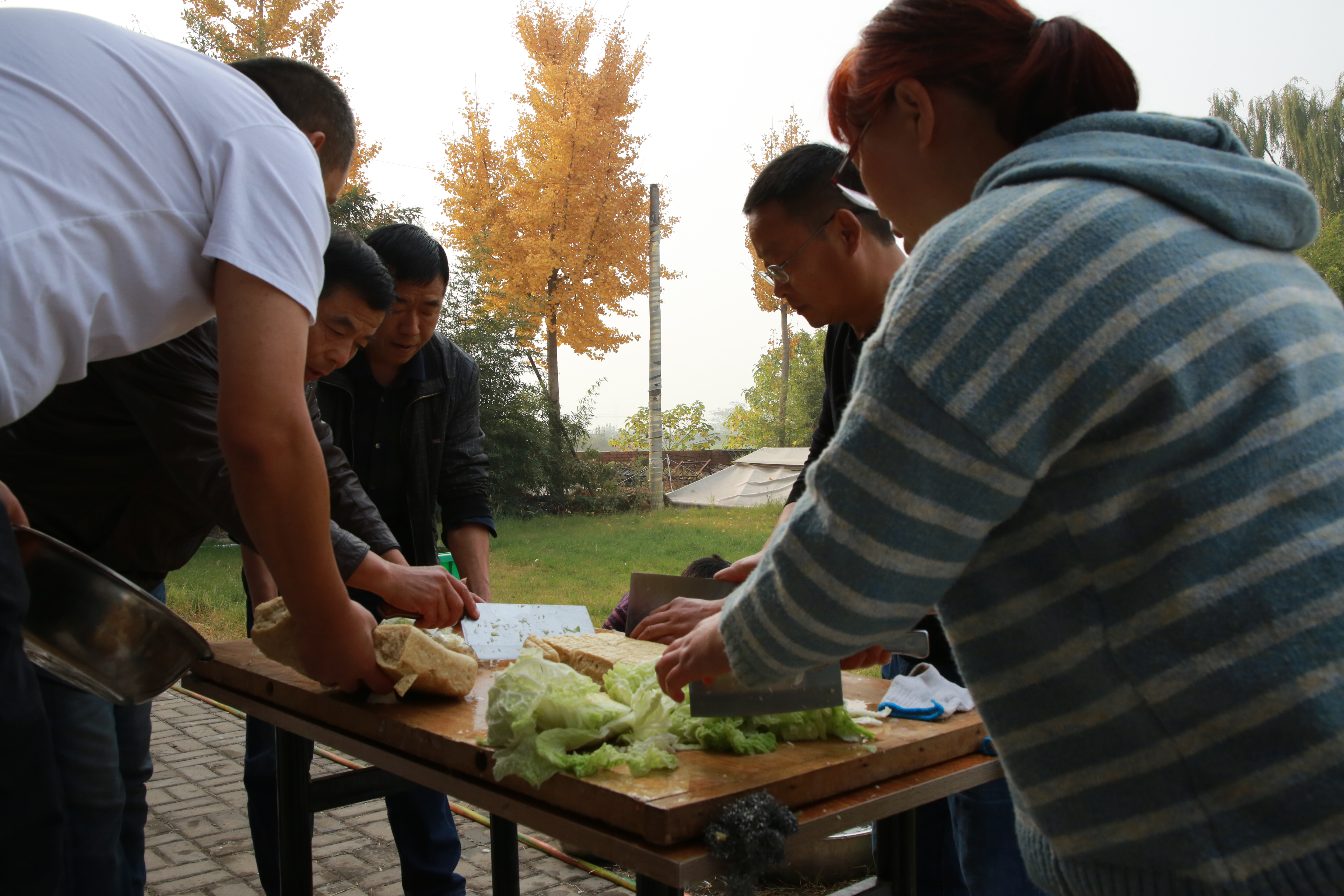 浩宇农庄丛林探险项目都有哪些,安阳殷墟浩宇农庄