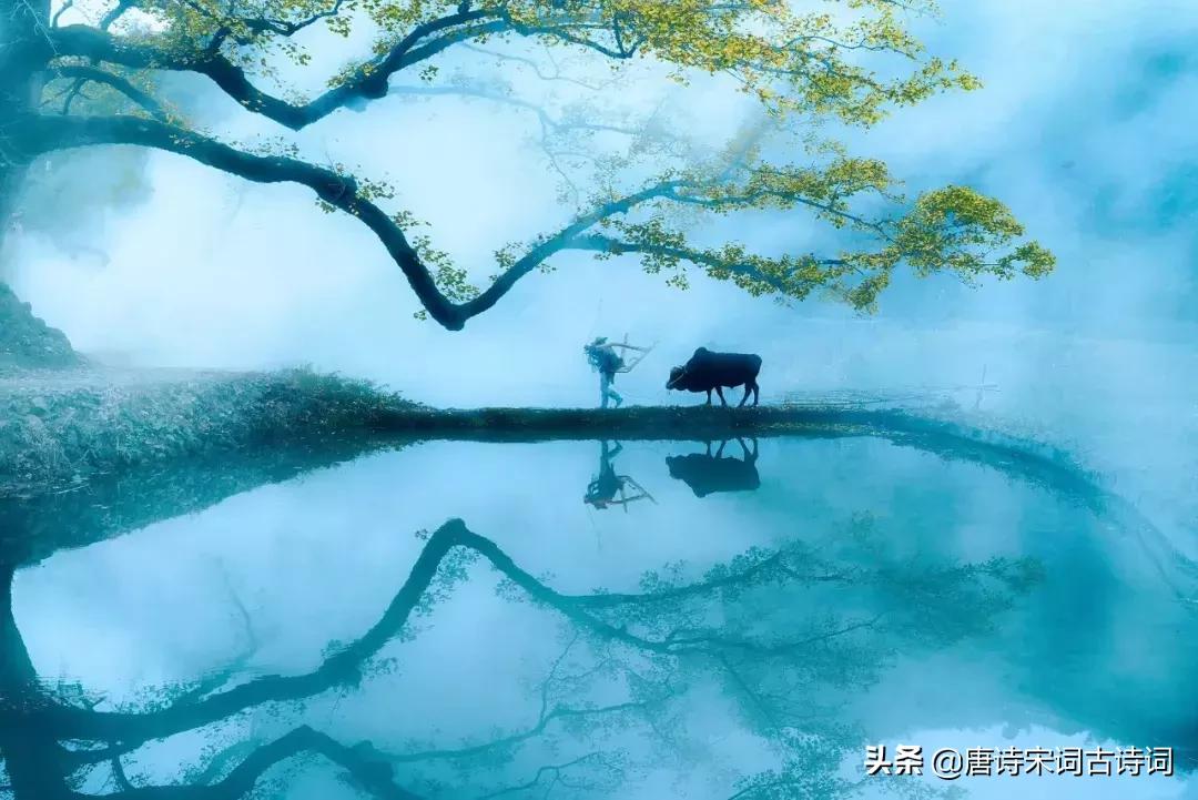 李商隐10句有名的句子,李商隐50首古诗