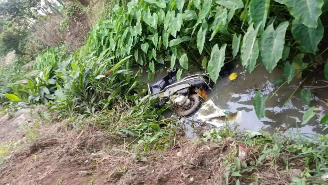 斗门老司机开宝马失误跌落鱼塘！河水灌入车内危在旦夕！急中生智“神”操作脱险！