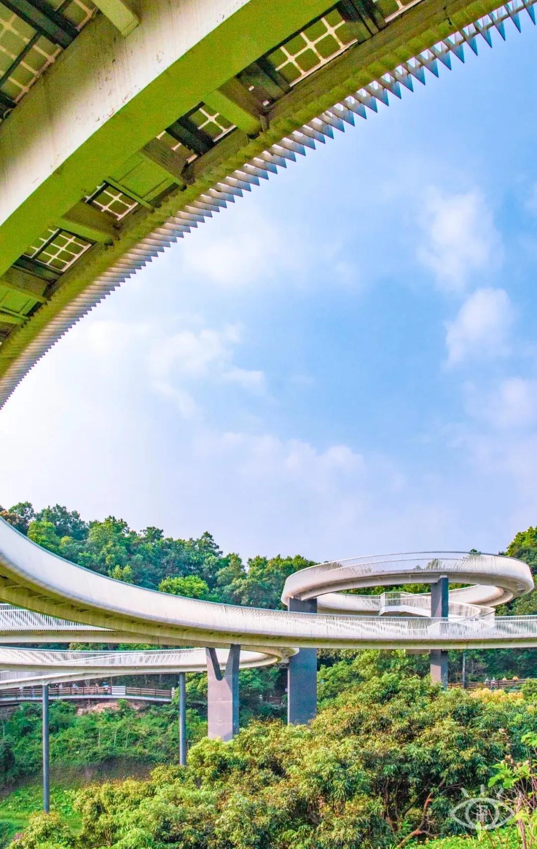 深圳这10条绿道你去过没,深圳十大绿道排行榜