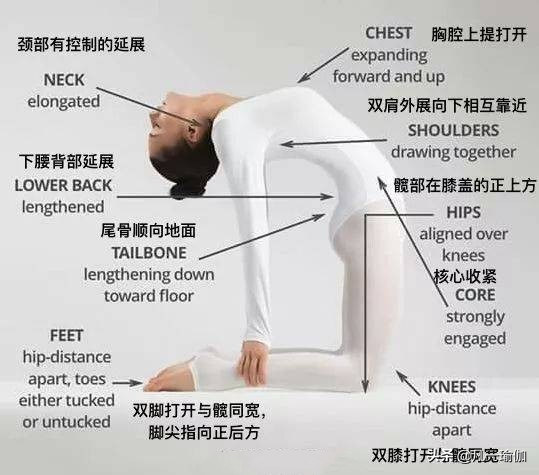 瑜伽练习的基本原则,瑜伽之光讲的什么