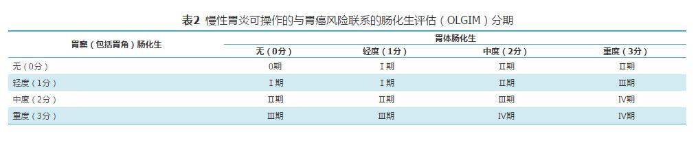 中国慢性胃炎诊疗指南,慢性胃炎基层诊疗指南