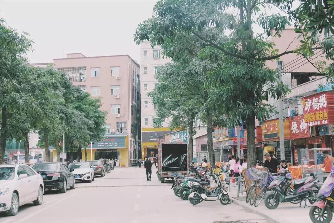 每个地方都有个沙井,好多地方叫沙井